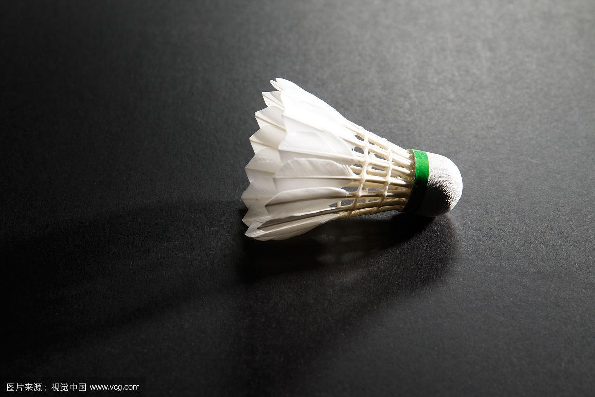 球迷的不当 球迷的不当